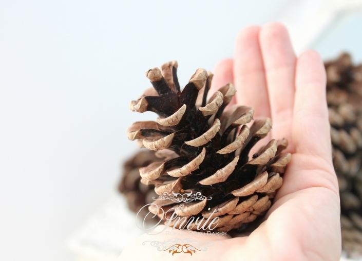 DETAILS LOVING 5pcs pine cones